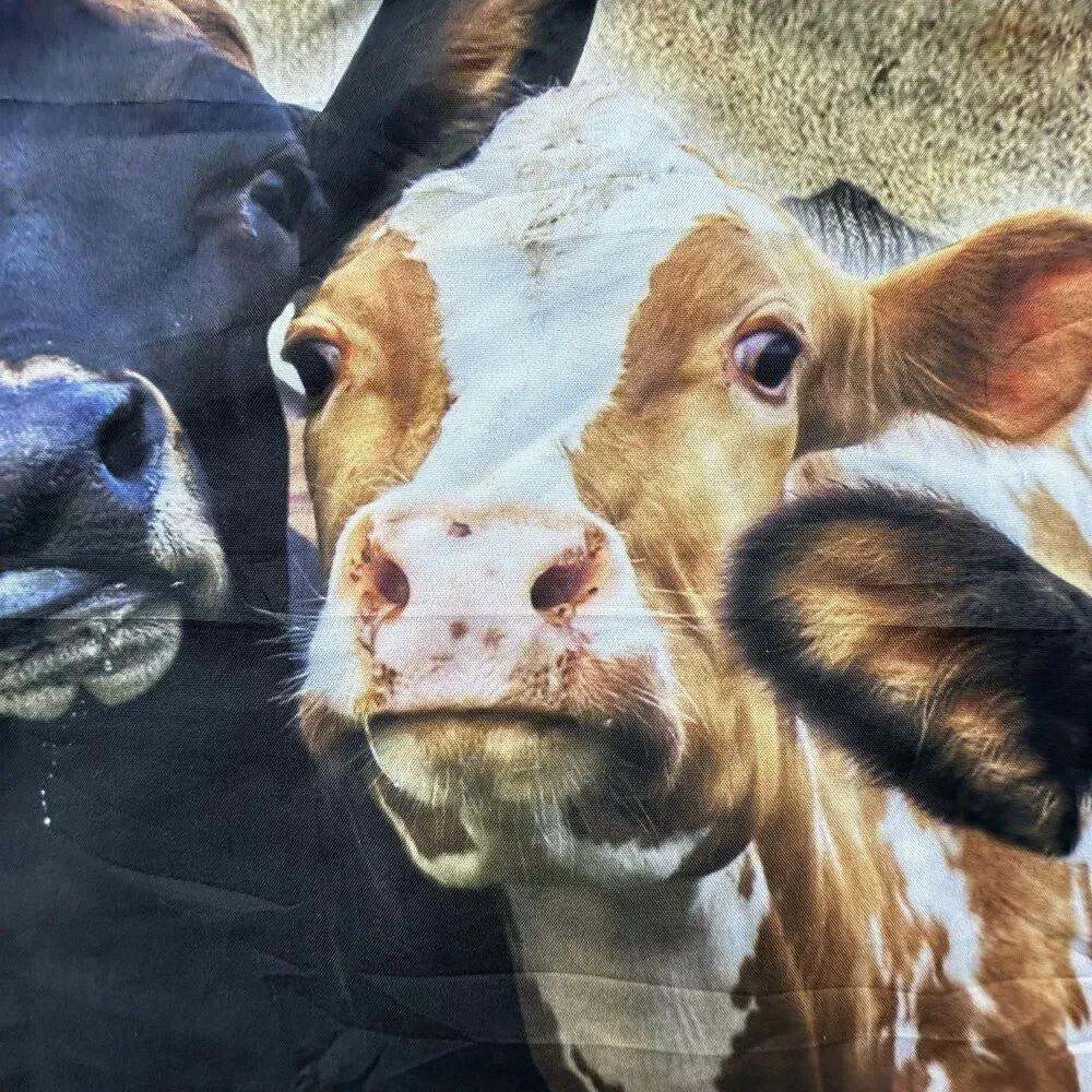 Cow Trio 2 Pillowcases Fabric Panels Curious Cows DIY Farmhouse Craft Sewing